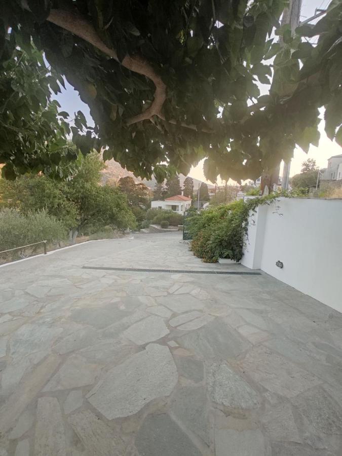 House Moschα Villa Ándros Eksteriør billede